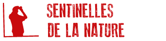 Logo Sentinelles