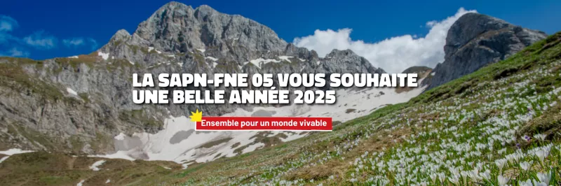 Bonne année 2025