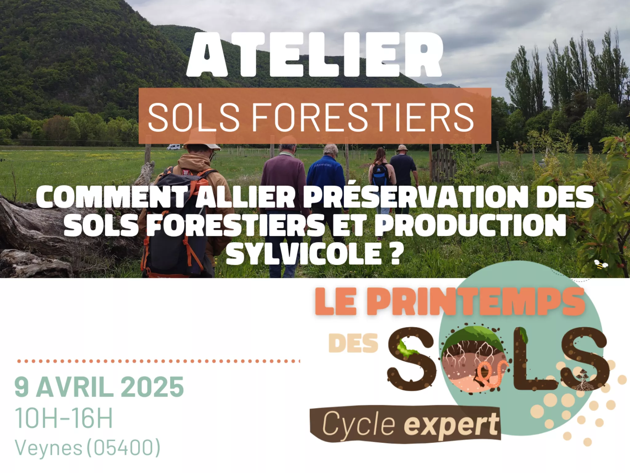 Atelier expert sur les sols forestiers