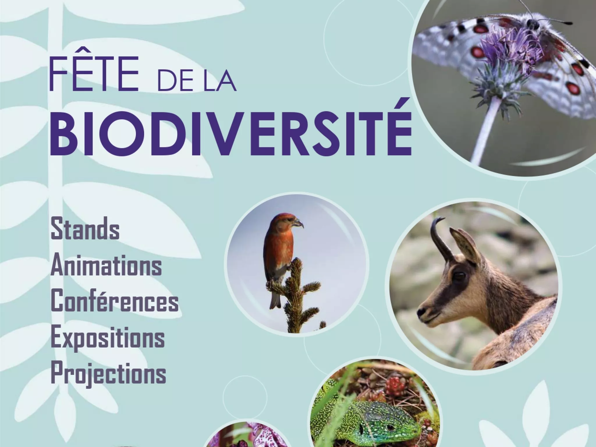 affiche fête de la biodiversité : 2 mars 10h-18h